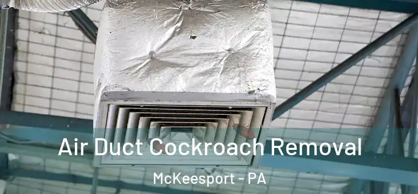  Air Duct Cockroach Removal McKeesport - PA