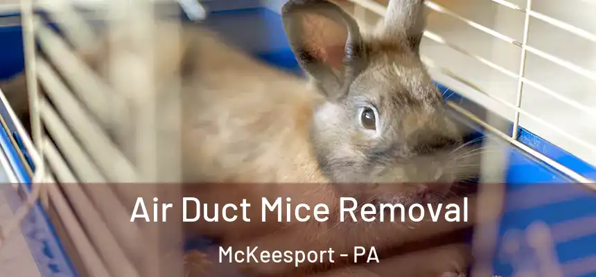 Air Duct Mice Removal McKeesport - PA