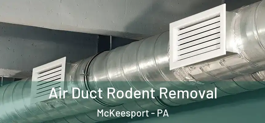 Air Duct Rodent Removal McKeesport - PA