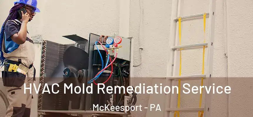 HVAC Mold Remediation Service McKeesport - PA