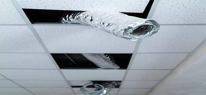 Affordable HVAC Sanitizing After Pest Removal in McKeesport