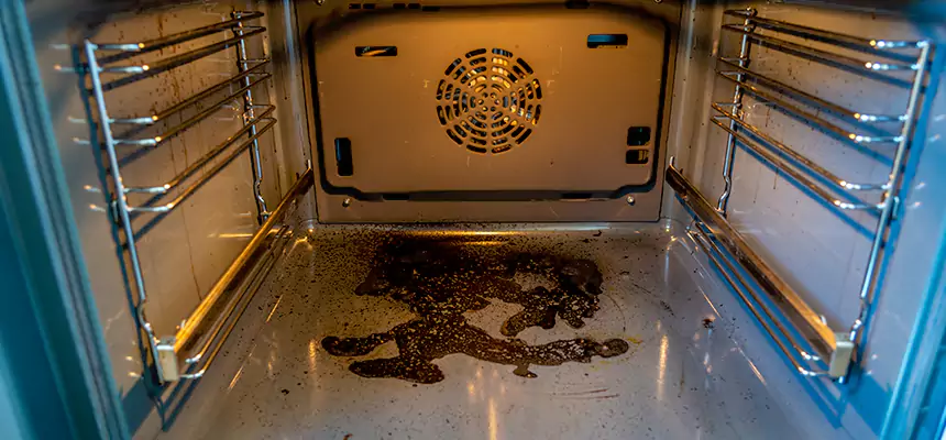 Our Dryer Vent Mold Cleaning Services in McKeesport, PA