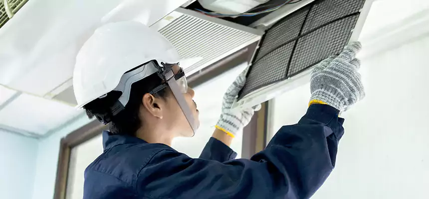 Our Mold & Mildew Removal from Air Ducts Services in McKeesport, PA