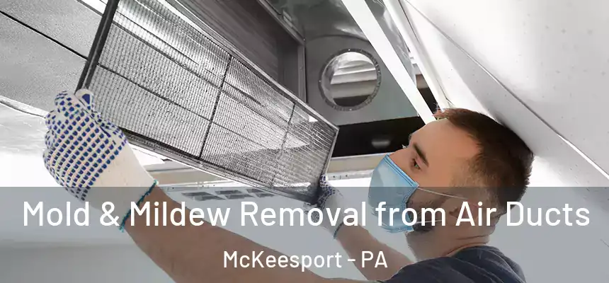 Mold & Mildew Removal from Air Ducts McKeesport - PA