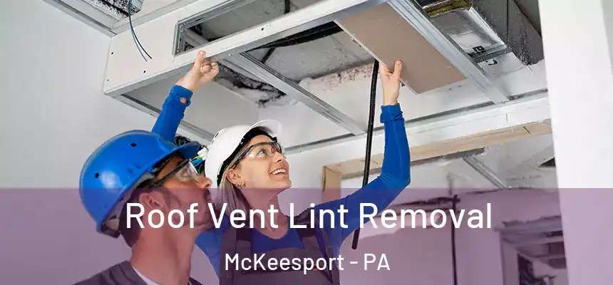  Roof Vent Lint Removal McKeesport - PA