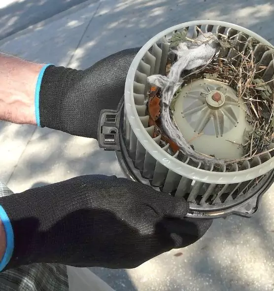 About Air Duct Mice Removal in McKeesport, PA