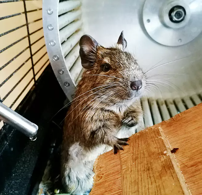 Why Homeowners & Businesses Trust Us McKeesport, PA